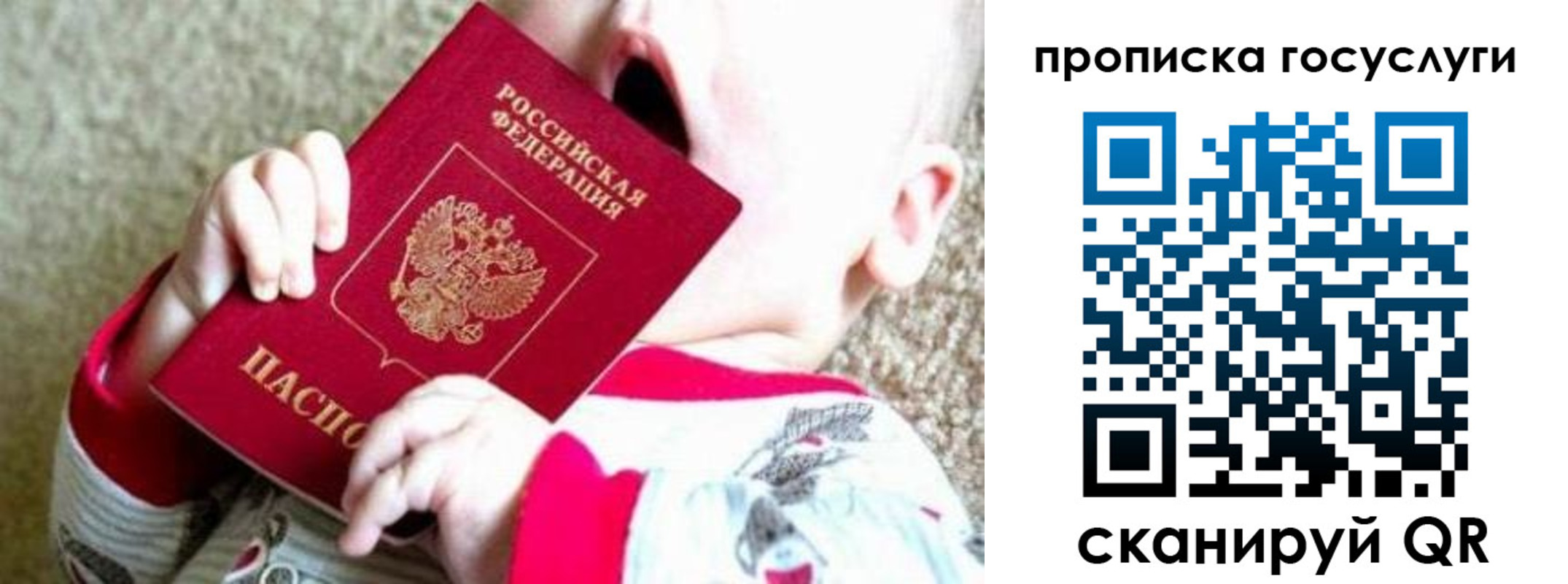 временная регистрация собственник в Курской области