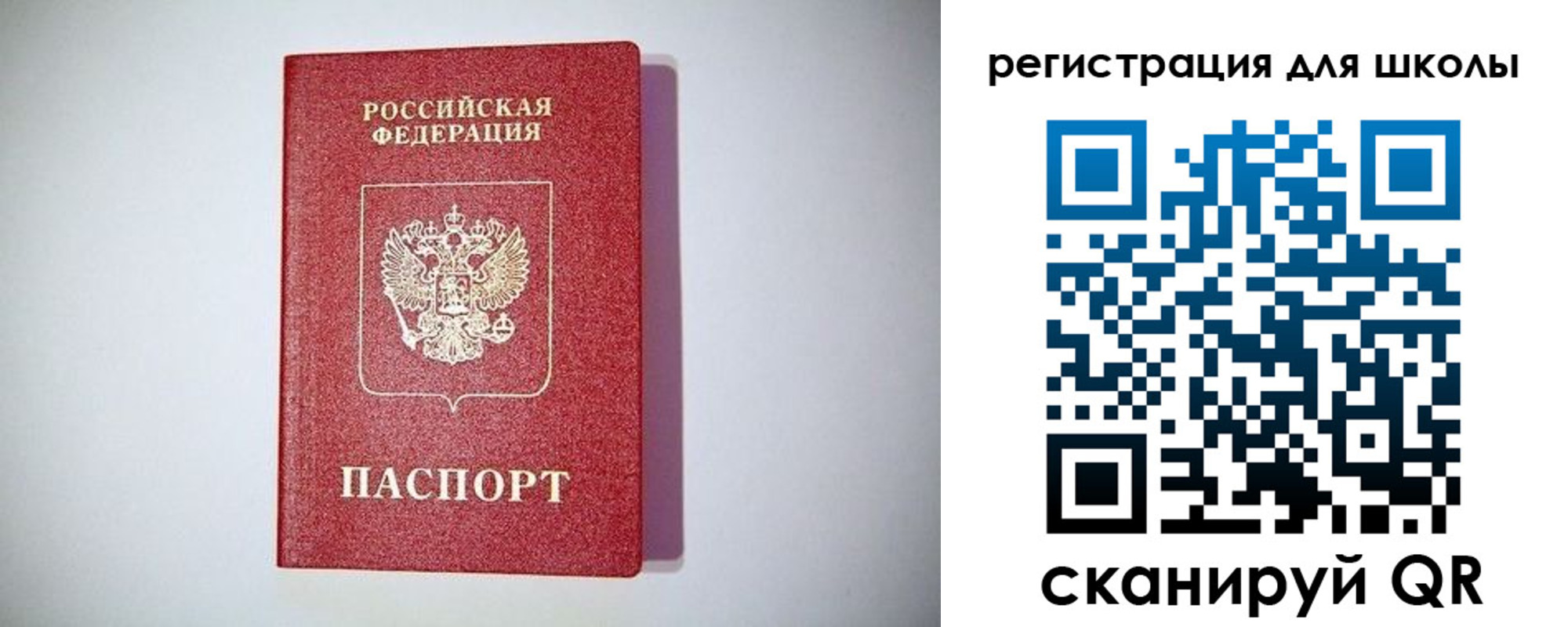регистрация в Курской области